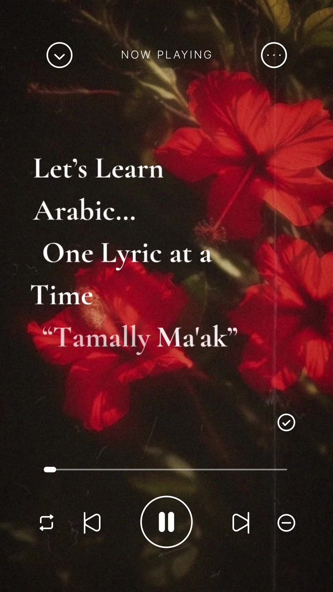 @The Safeer Arabic School