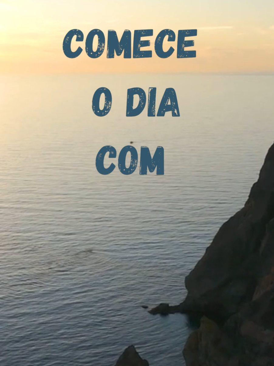 @Larissa Mesquita Pereira