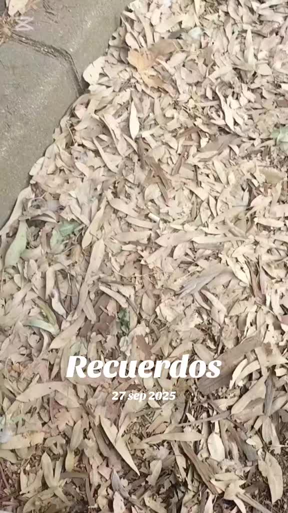 @juanma