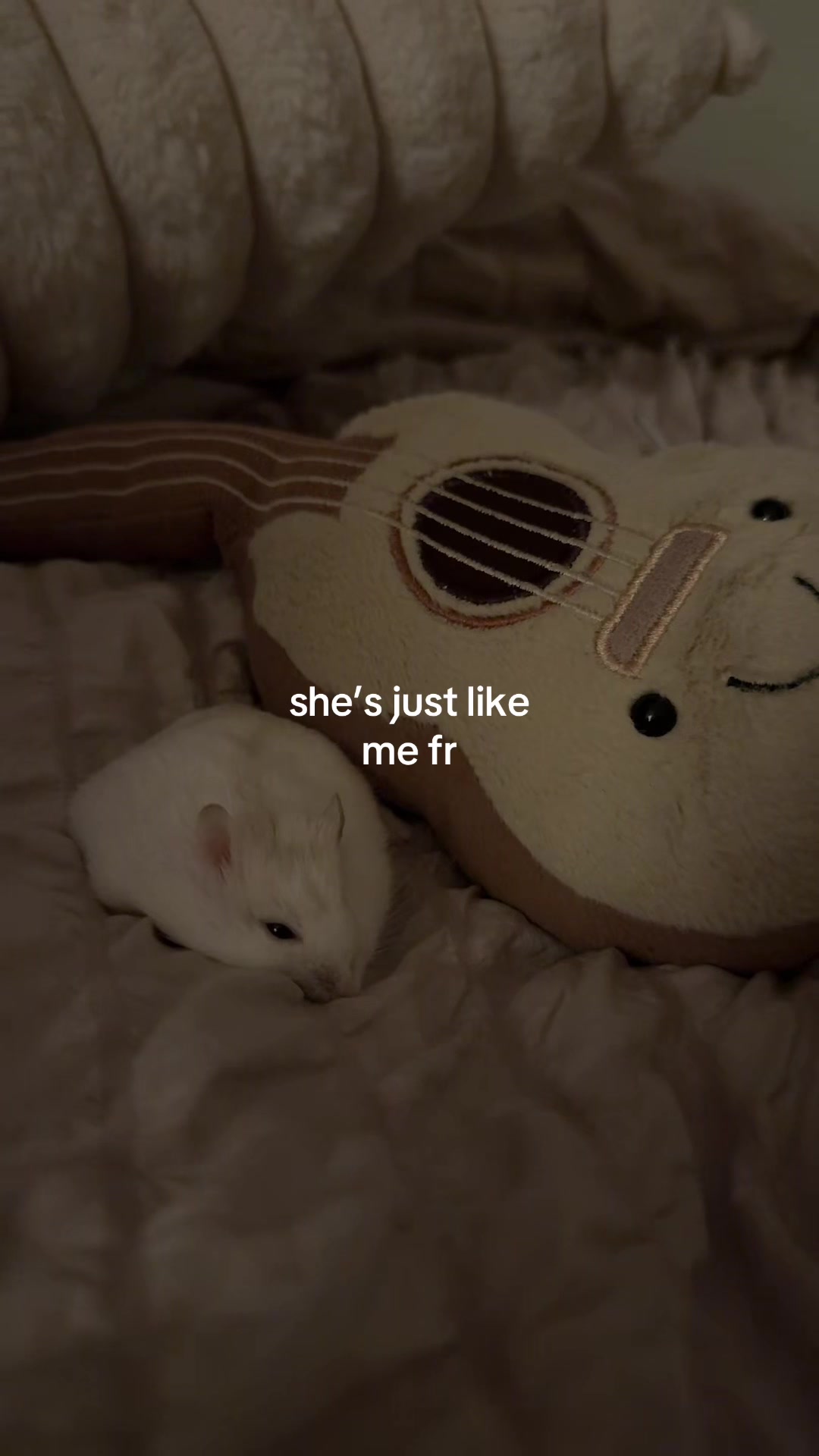 @faye