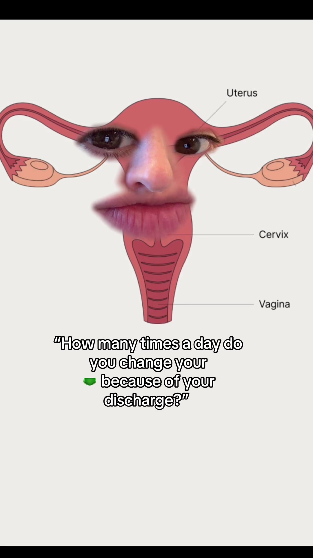 @Evvy