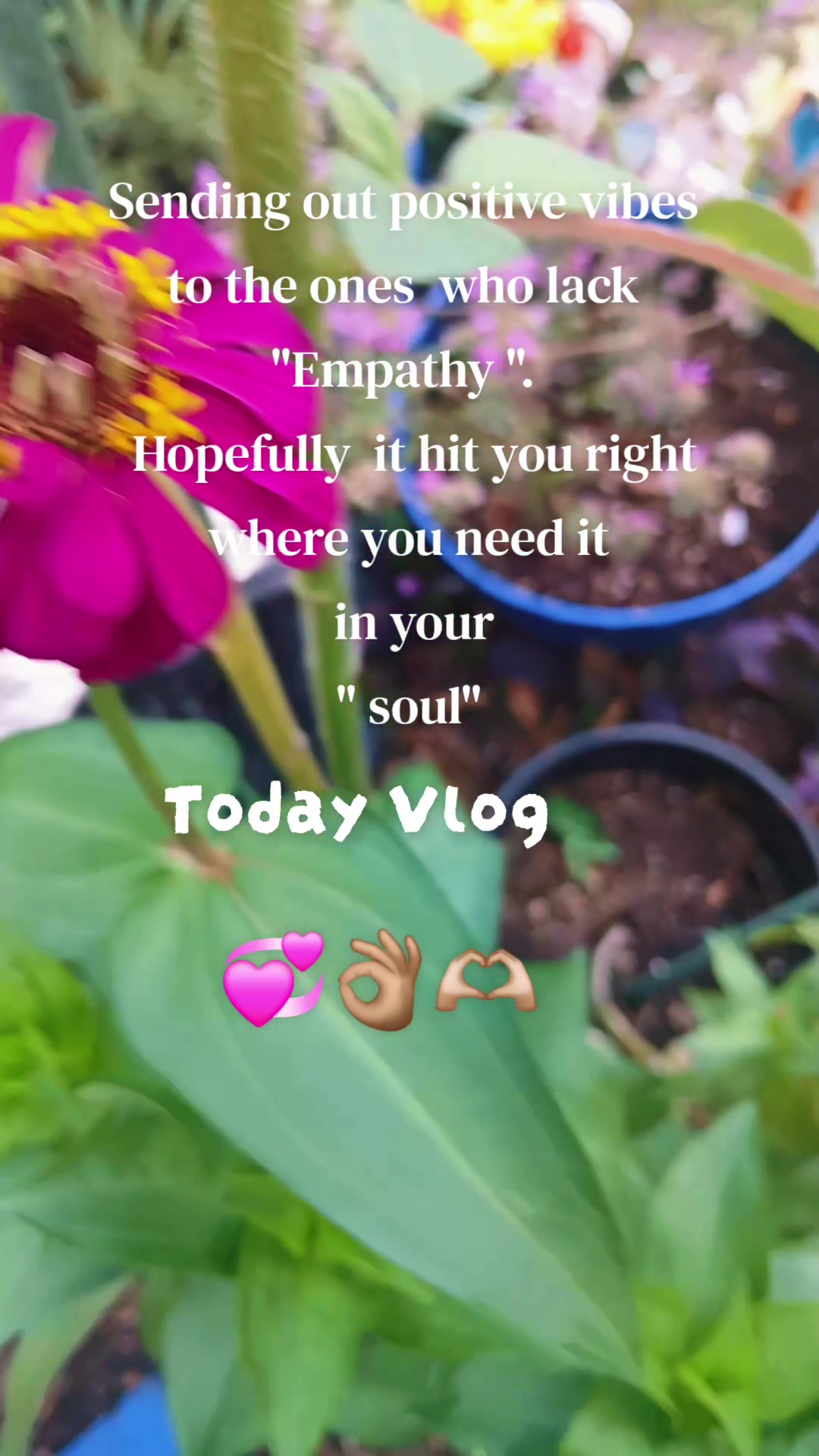 @Ronnie's garden🍅🫑🥬🥒🌻🌺