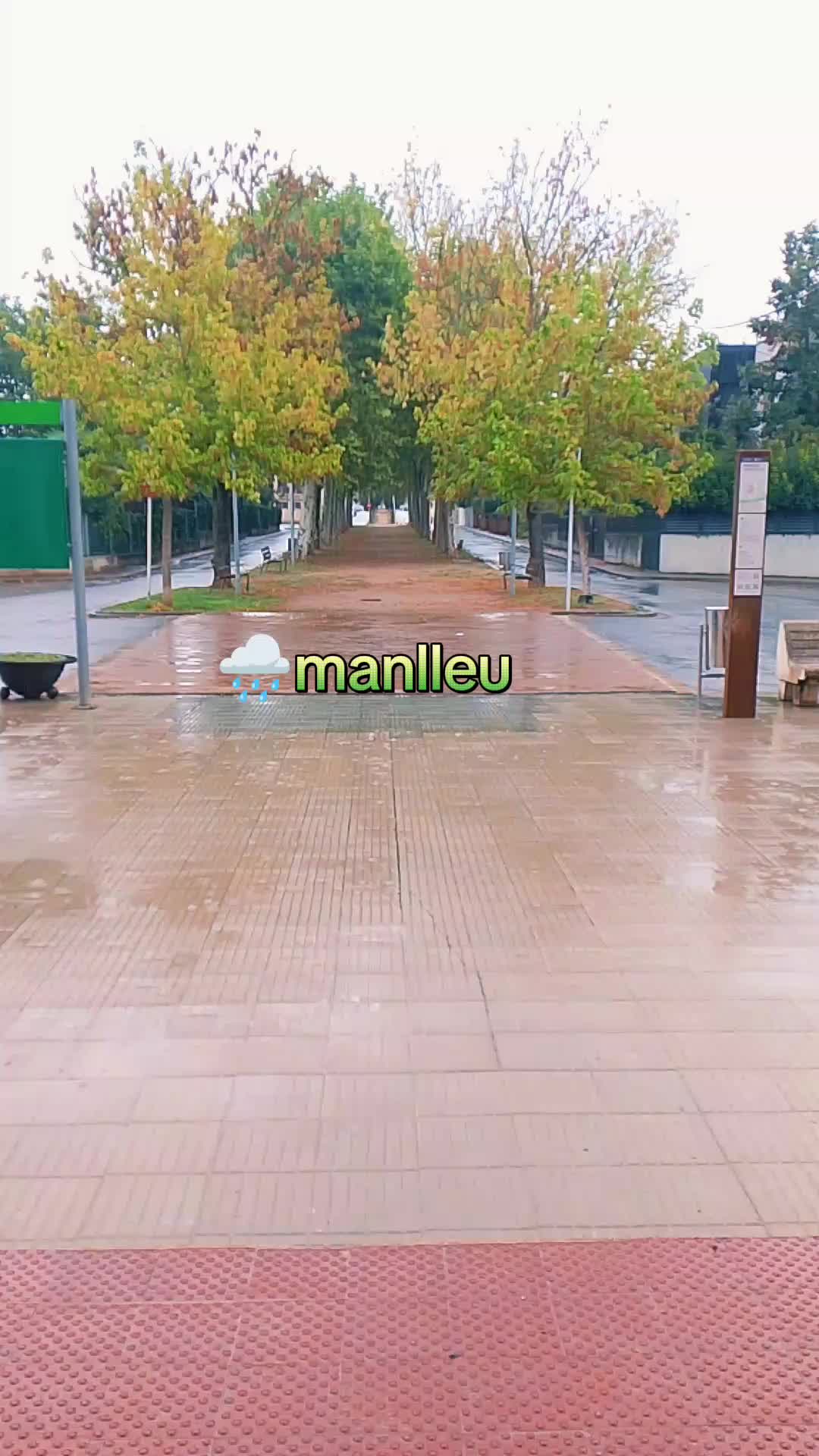 @꧁𓊈🧡𝓡𝓲𝓯𝓲𝔂𝓪🧡𓊉꧂