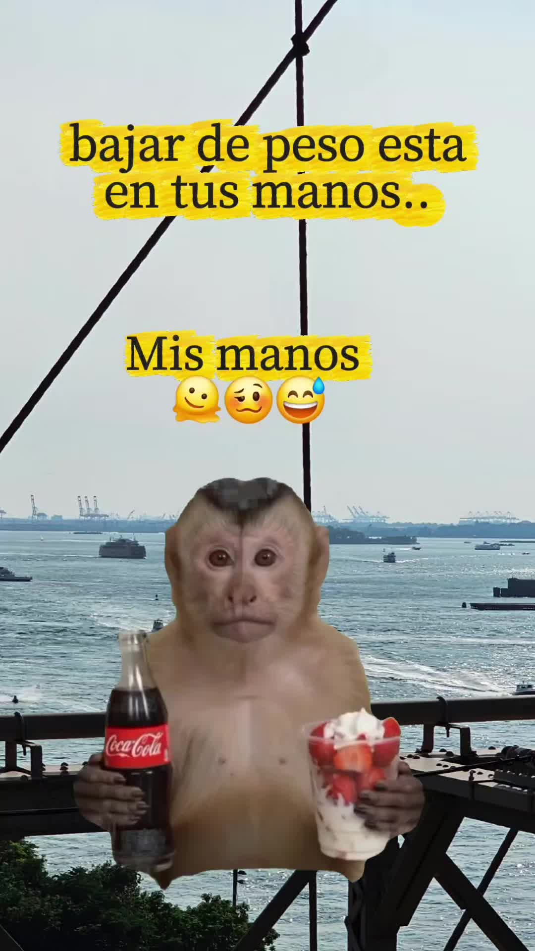 @ingridm