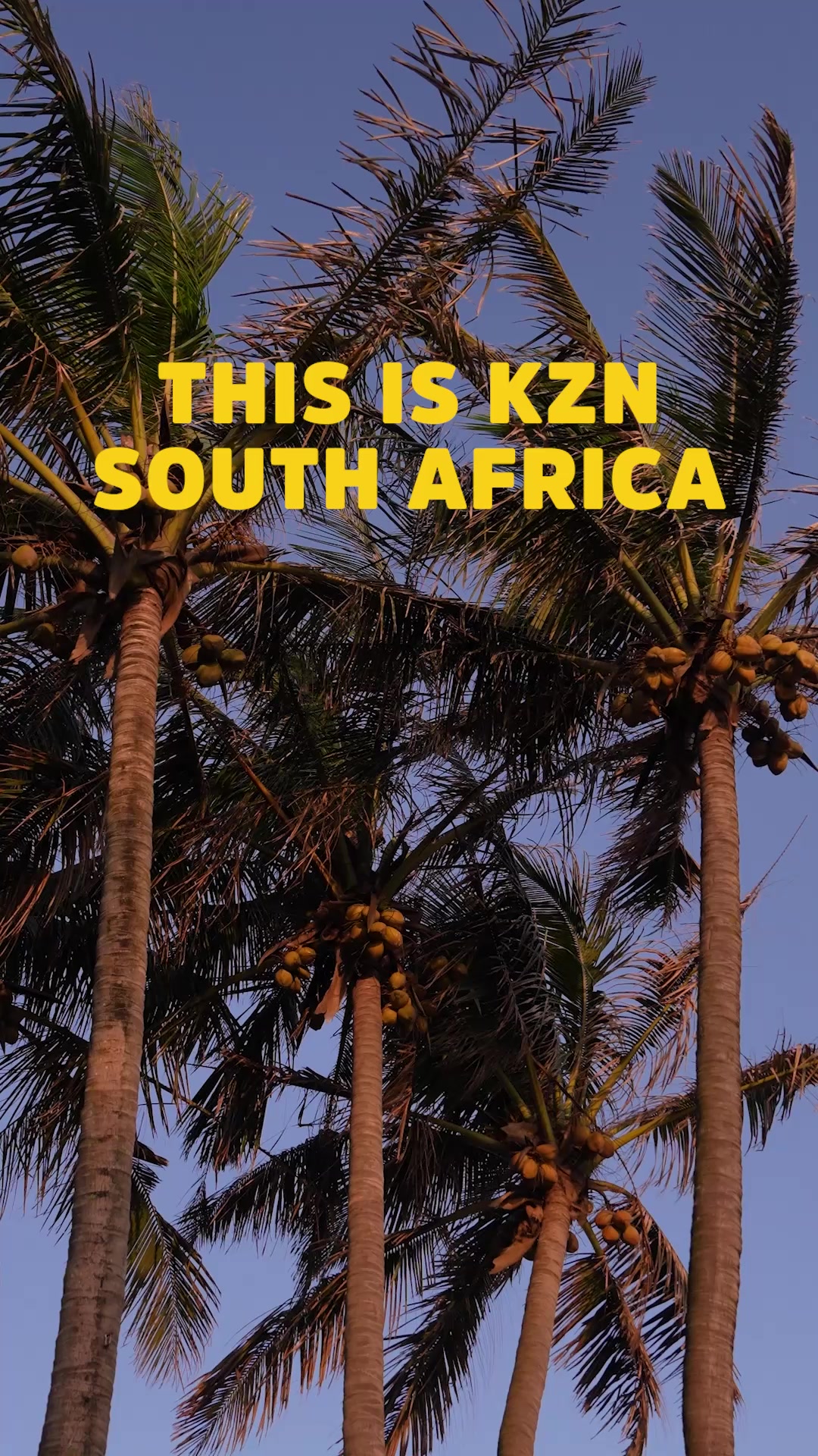 @South Africa UK
