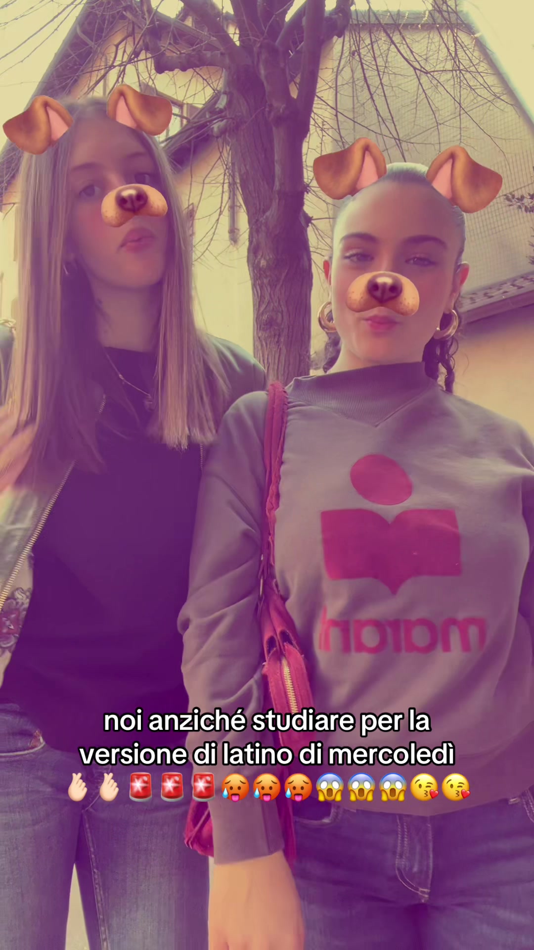 @liviarache