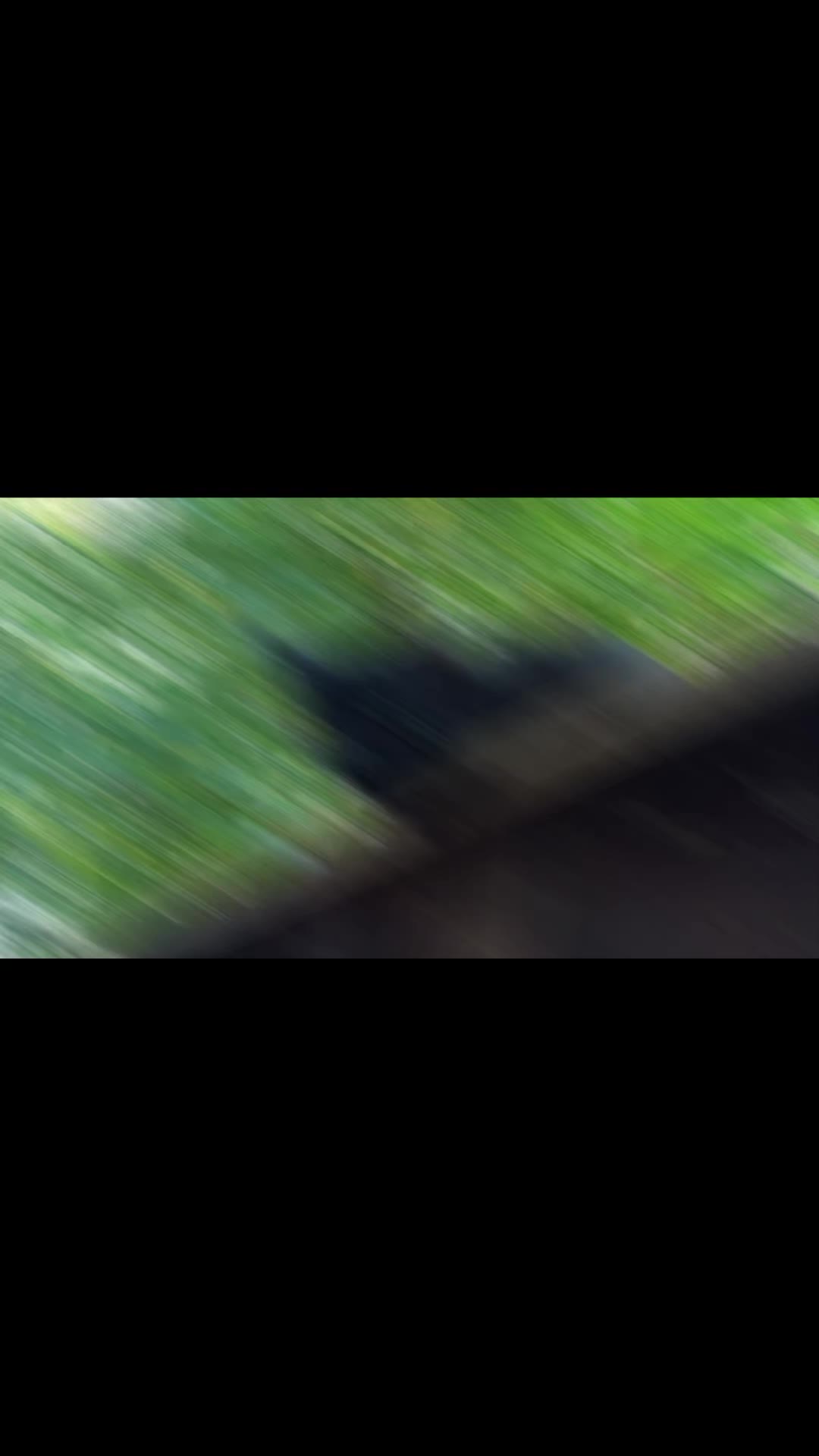 @🦚🆃𝓲𝓮𝓻🅿𝓪𝓻𝓴🆃𝓸𝓴🦚