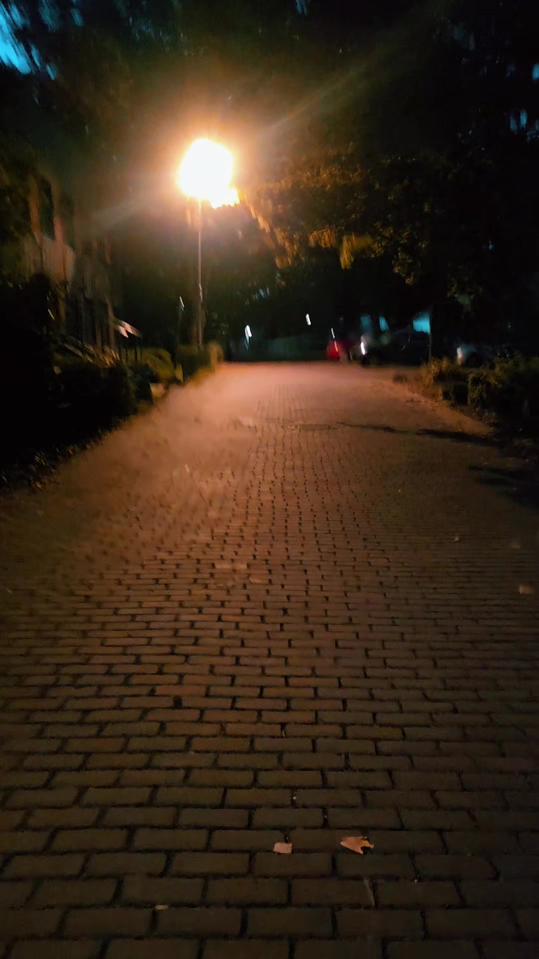@ENTELA ♥️♊️M♥️