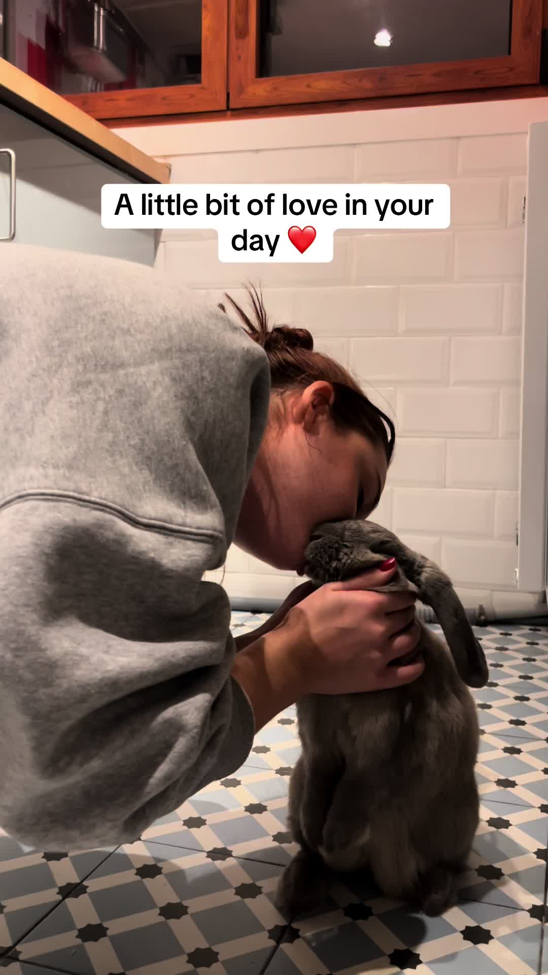 @Buzz the Bunny