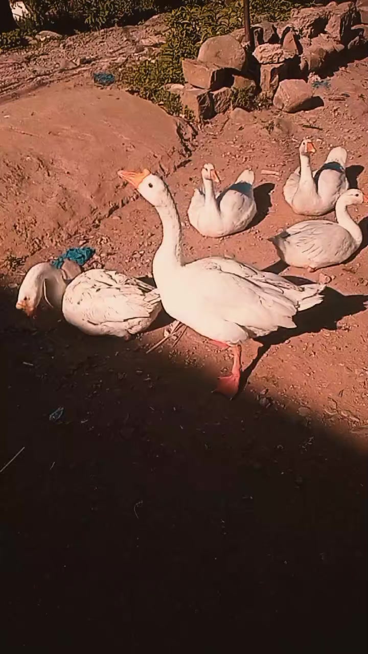 @❤️