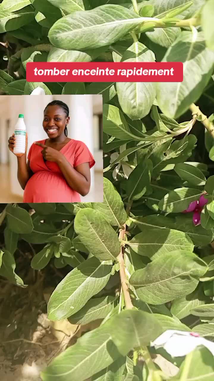 @Dr JUDI Bio🌡️☘️