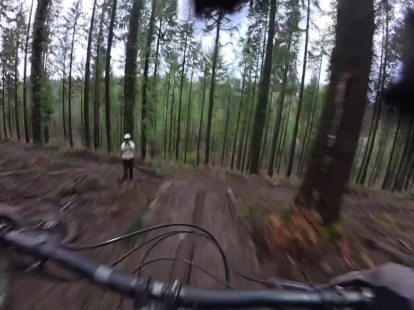 @tobyy🌲