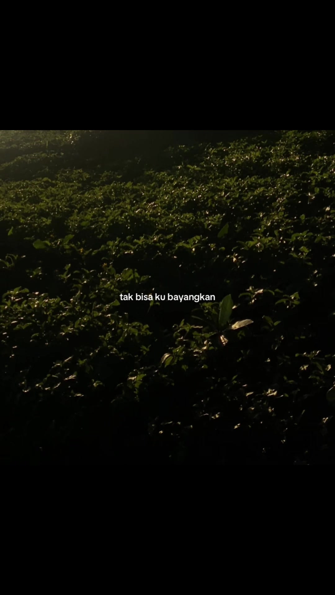 @lonelynes🥀