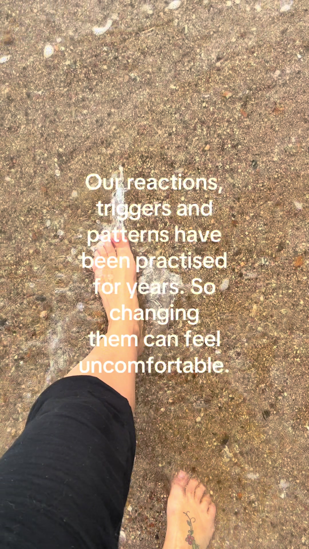 @forest.moon.wellbeing