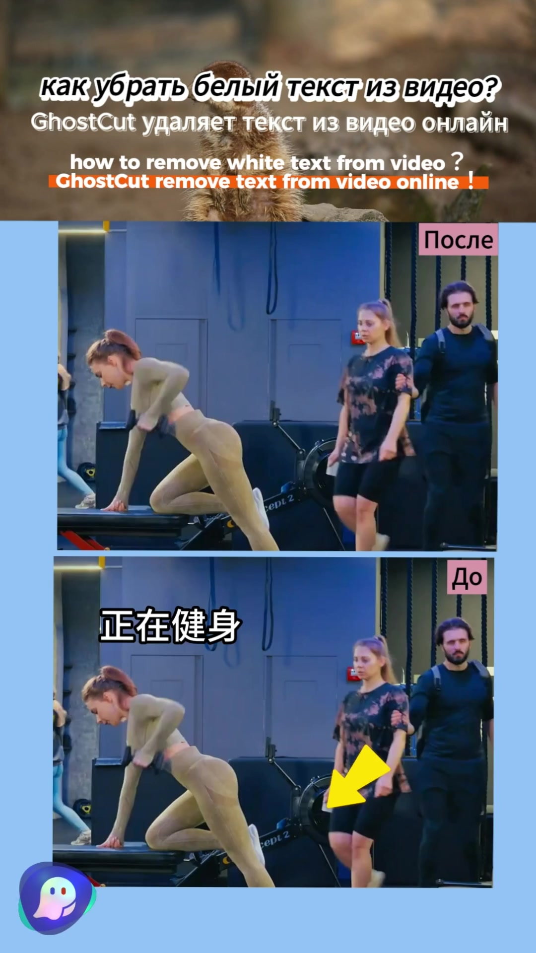 @videotranslation