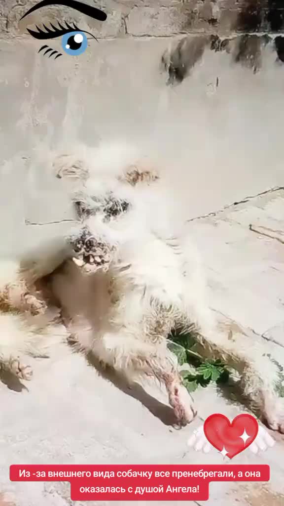 @S.М.