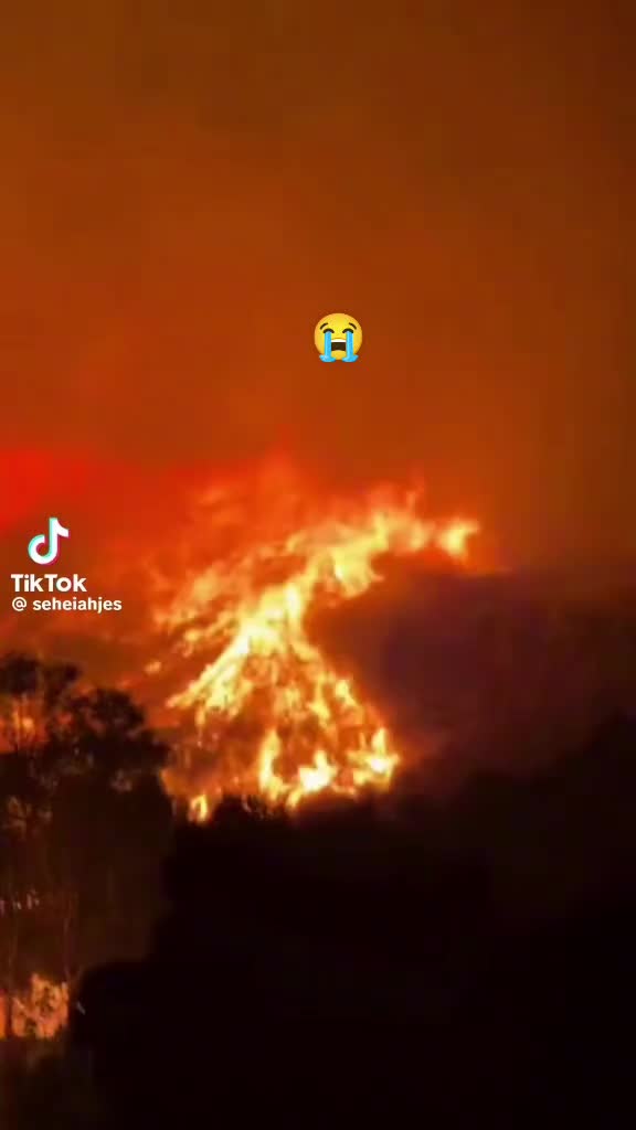 @مغربيه 🇪🇸🇲🇦
