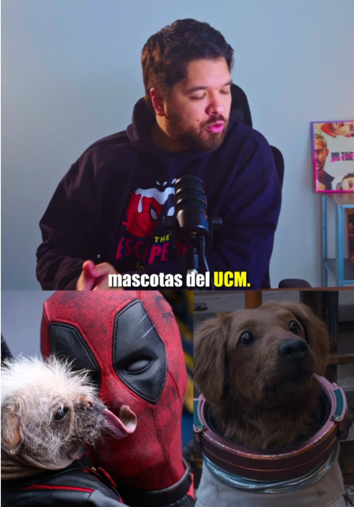 @Podcast de Miguel Jimenez