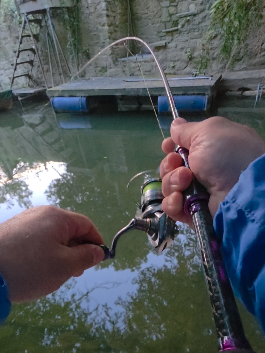 @BF Angler