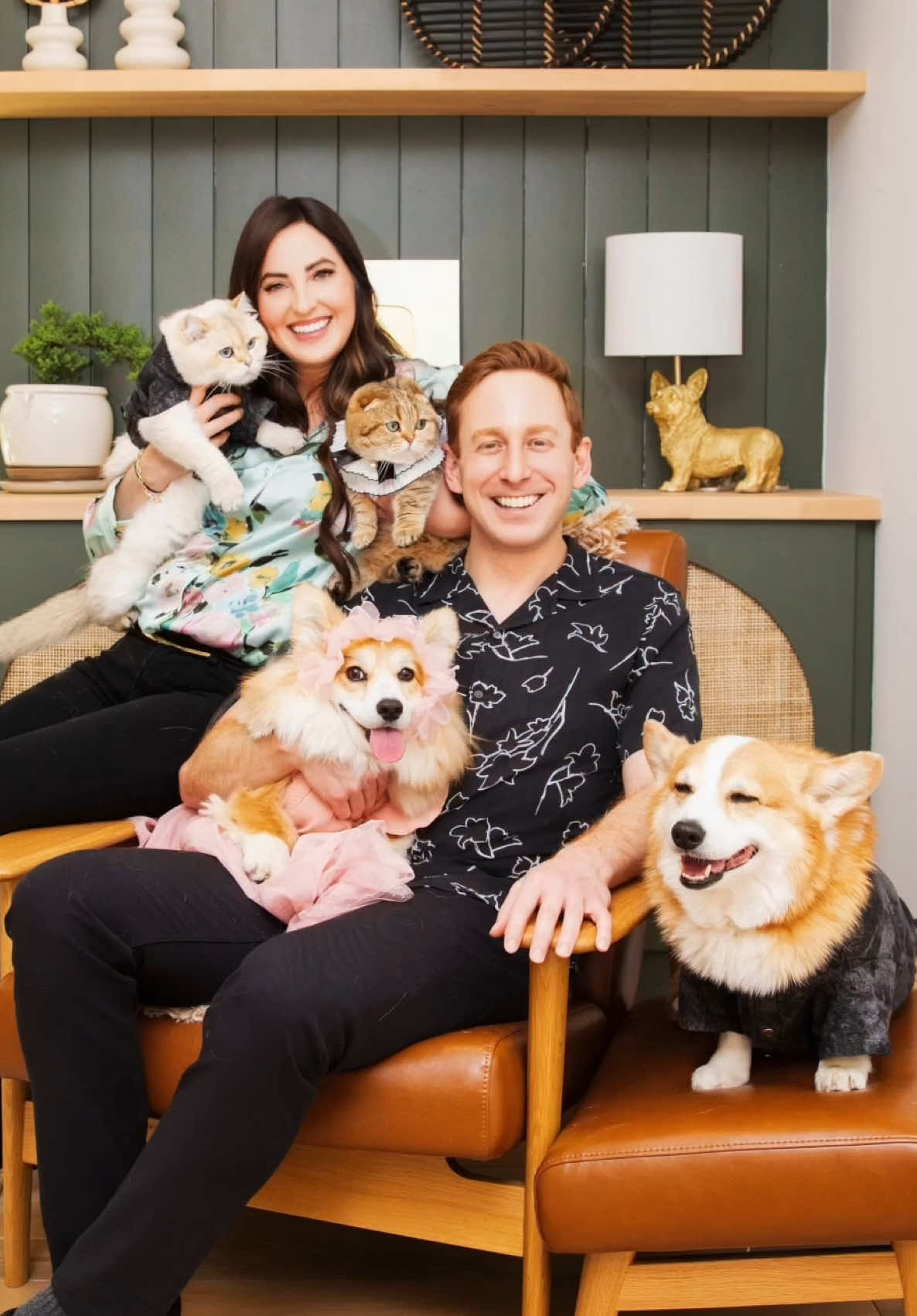 @Hammy & Olivia Corgi