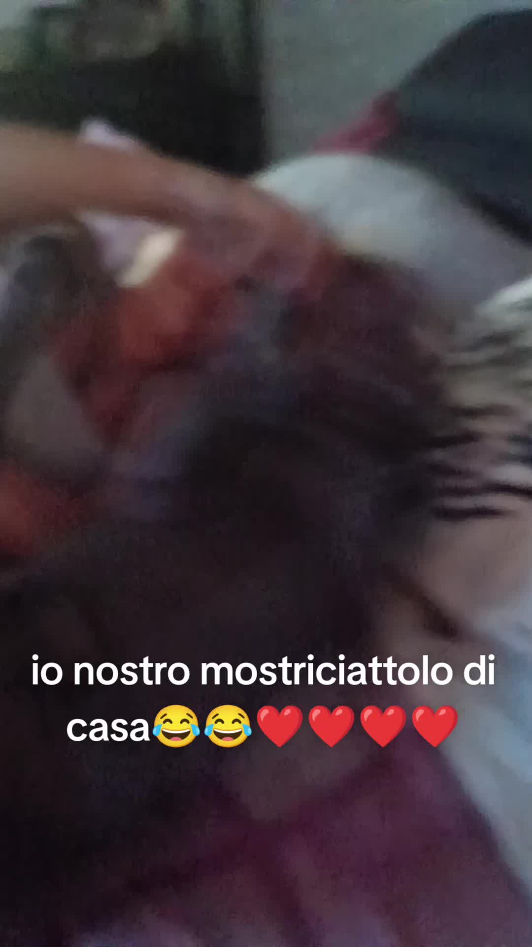 @Francesca Fra