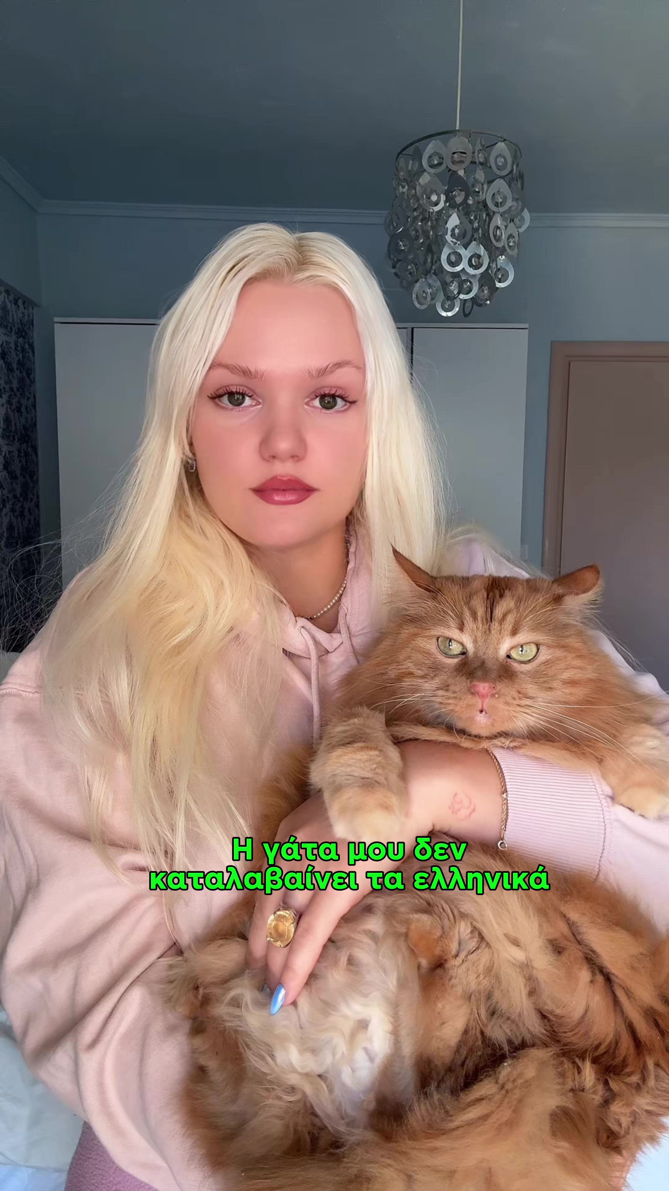 @✨