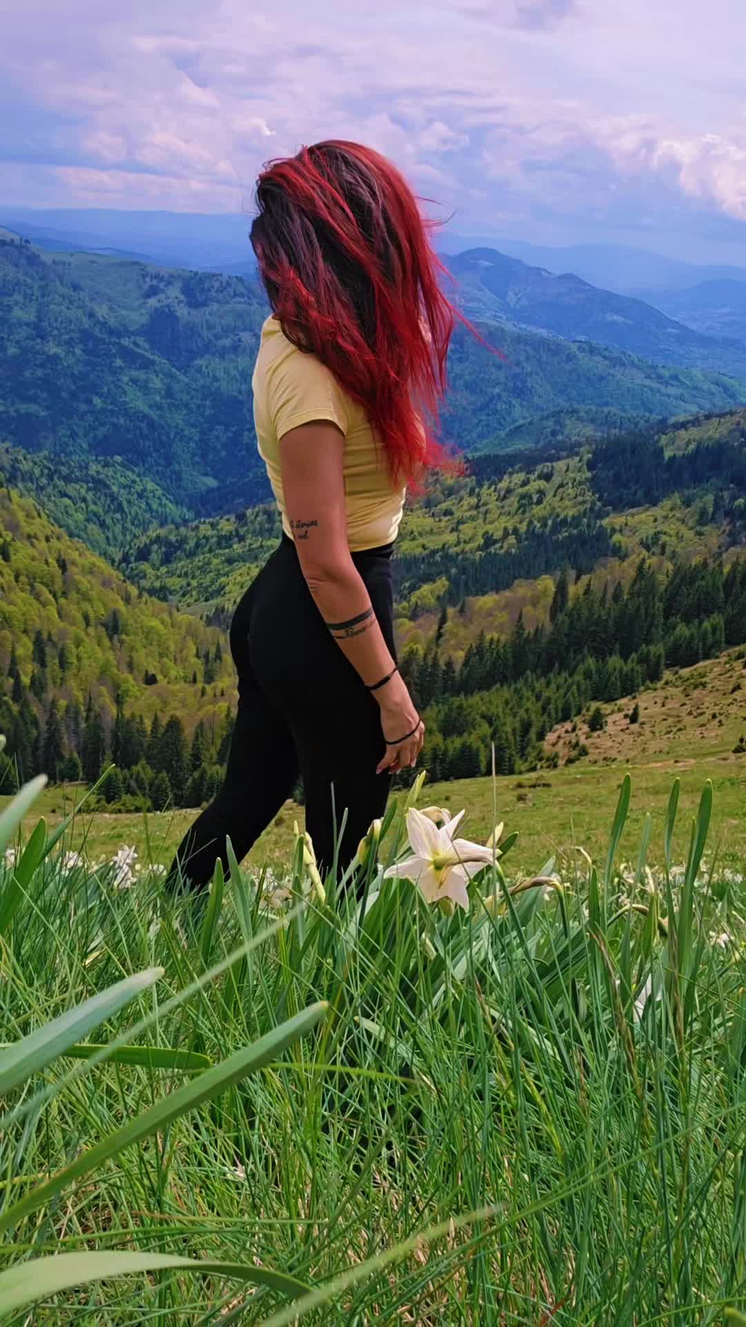 @Nutzy