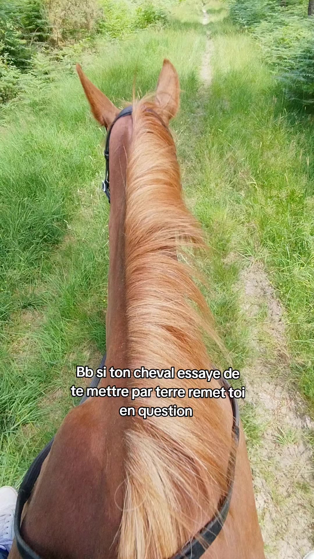 @un_coeur_alezan