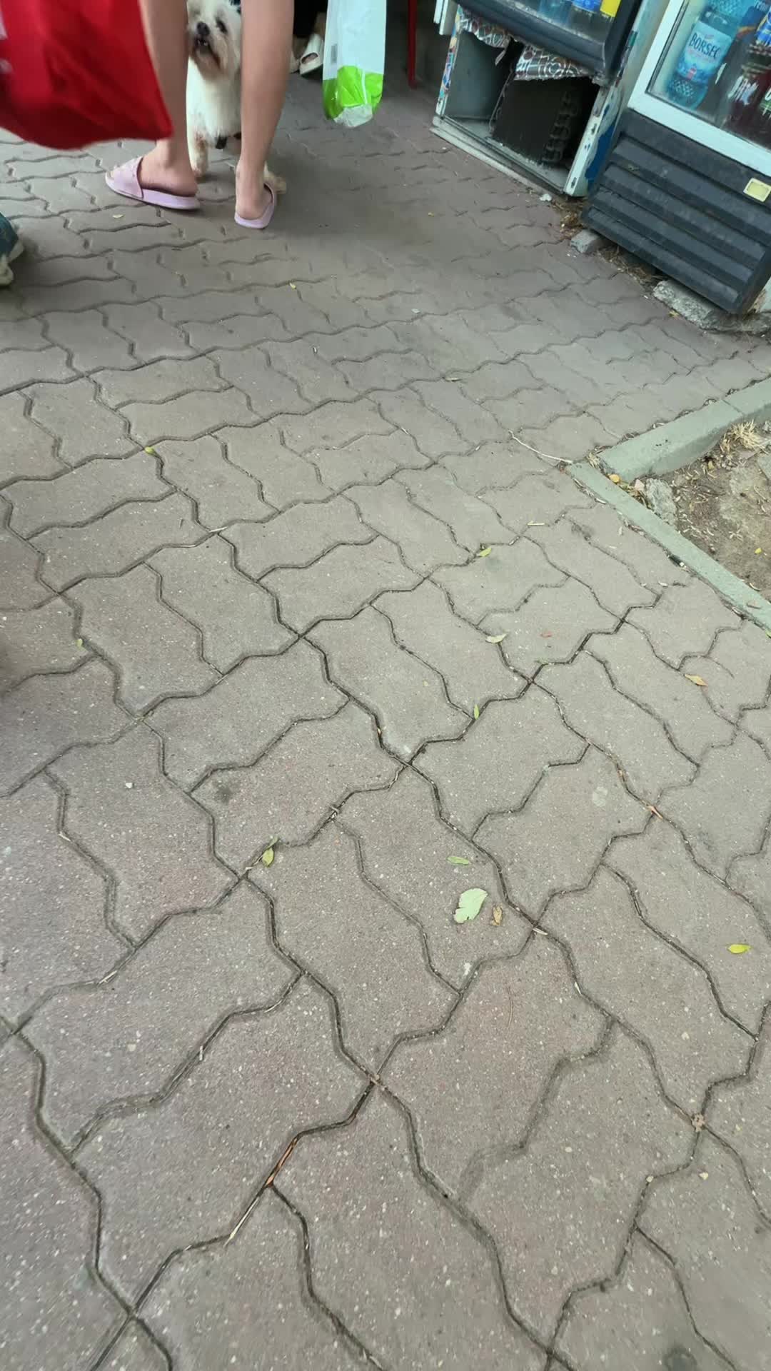 @DENIS ALU TISU