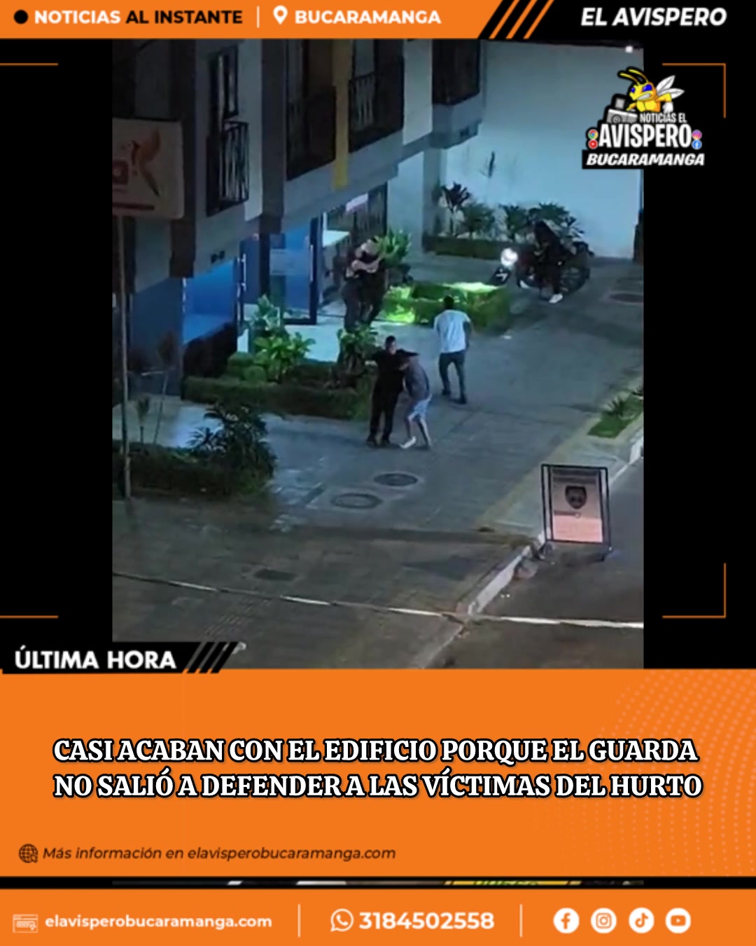 @avisperobucaramanga