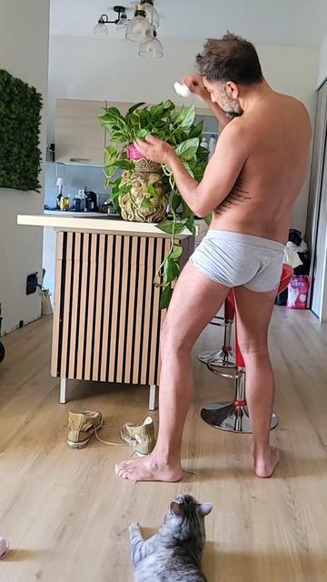 @Niko Nicolosi