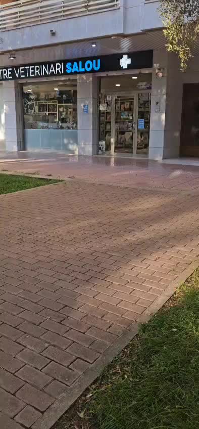 @Guffy_dog