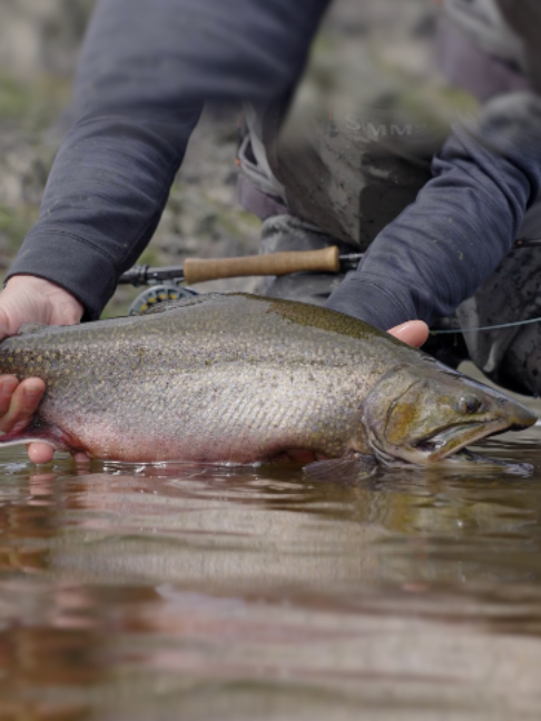 @Fishing TV