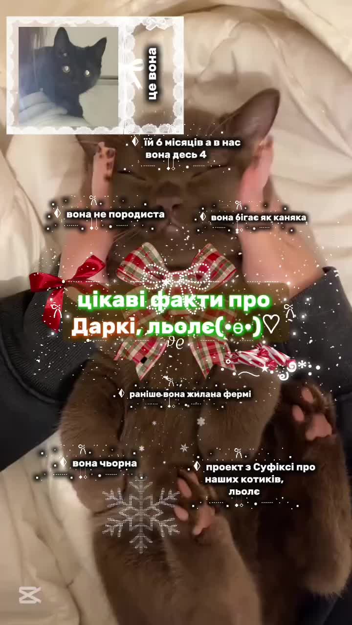 @𝗘𝗻𝗱 𝗢𝗳 𝗕𝗲𝗴𝗶𝗻