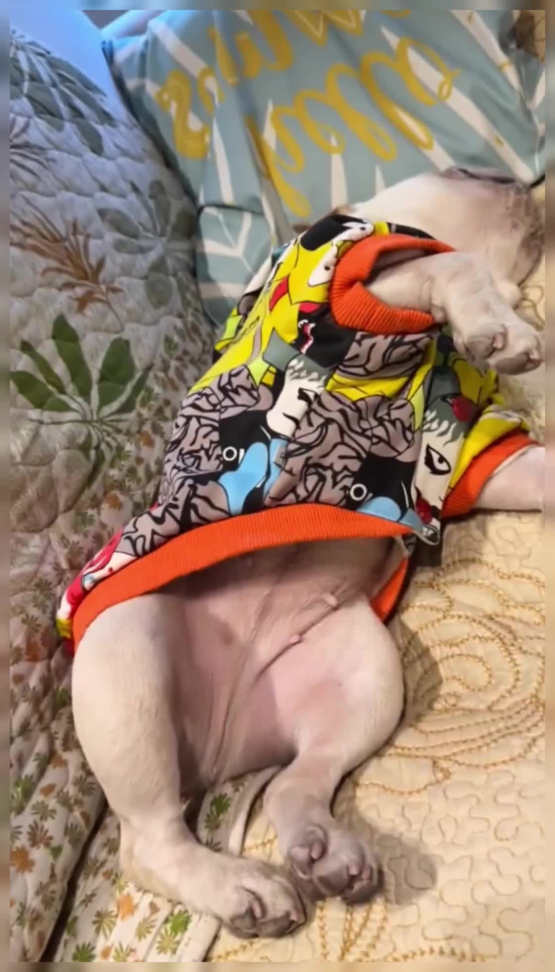 @gofrenobh5f