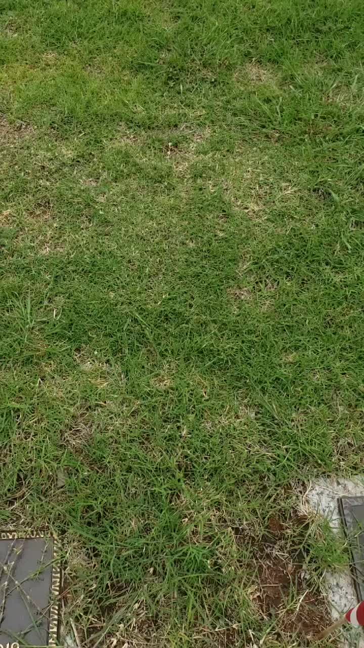 @SL
