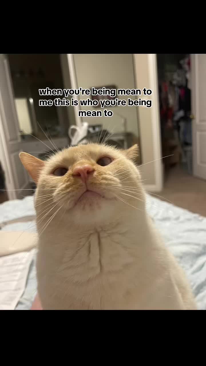 @zombers
