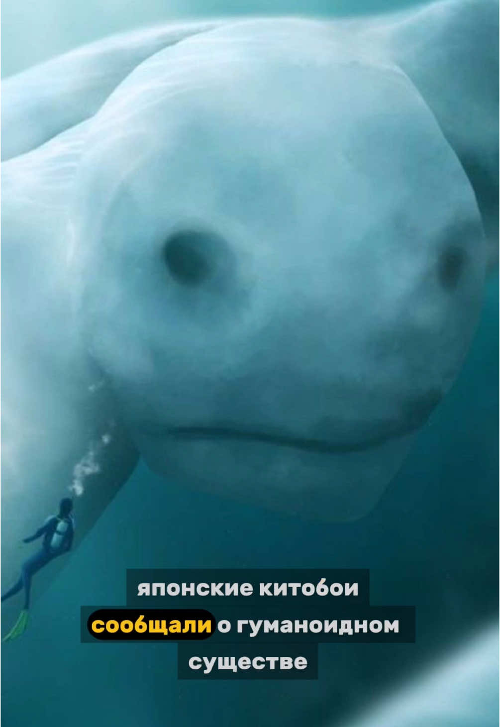 @тгк кружок всратых интересов