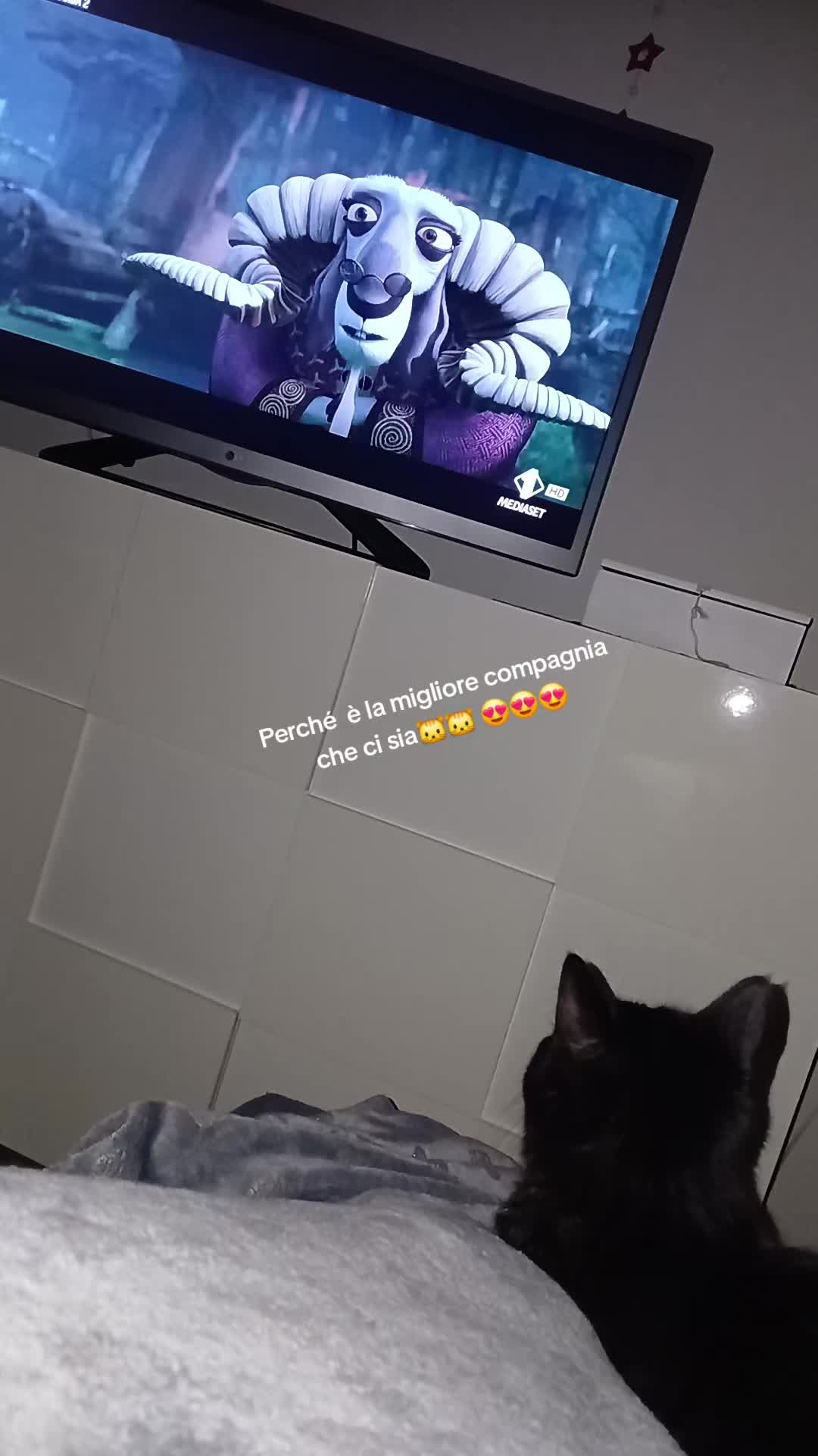 @Susy22