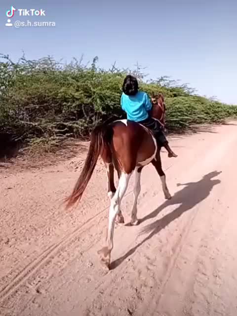 @s.h.sumra786