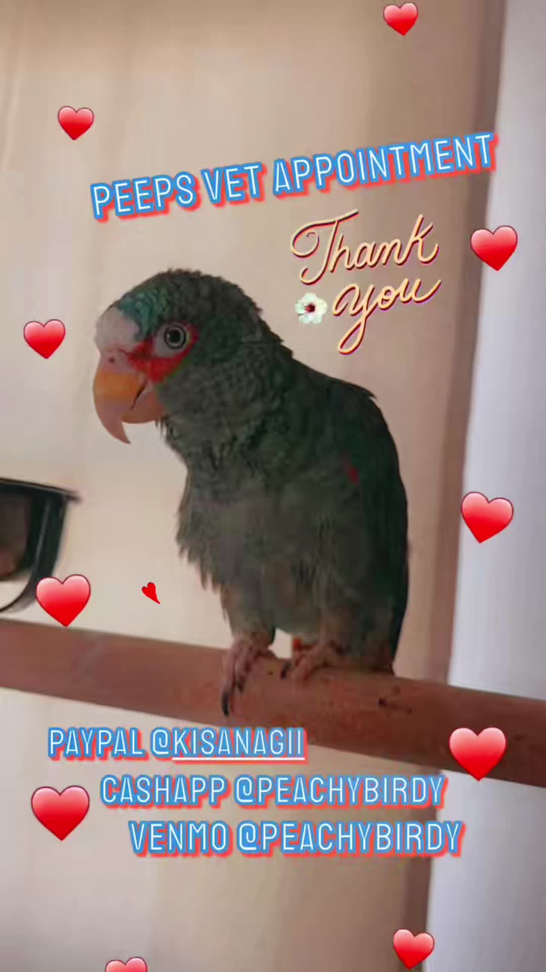 @Peeps