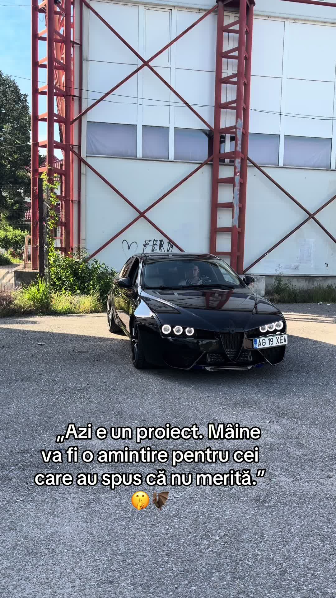 @Alex🦈