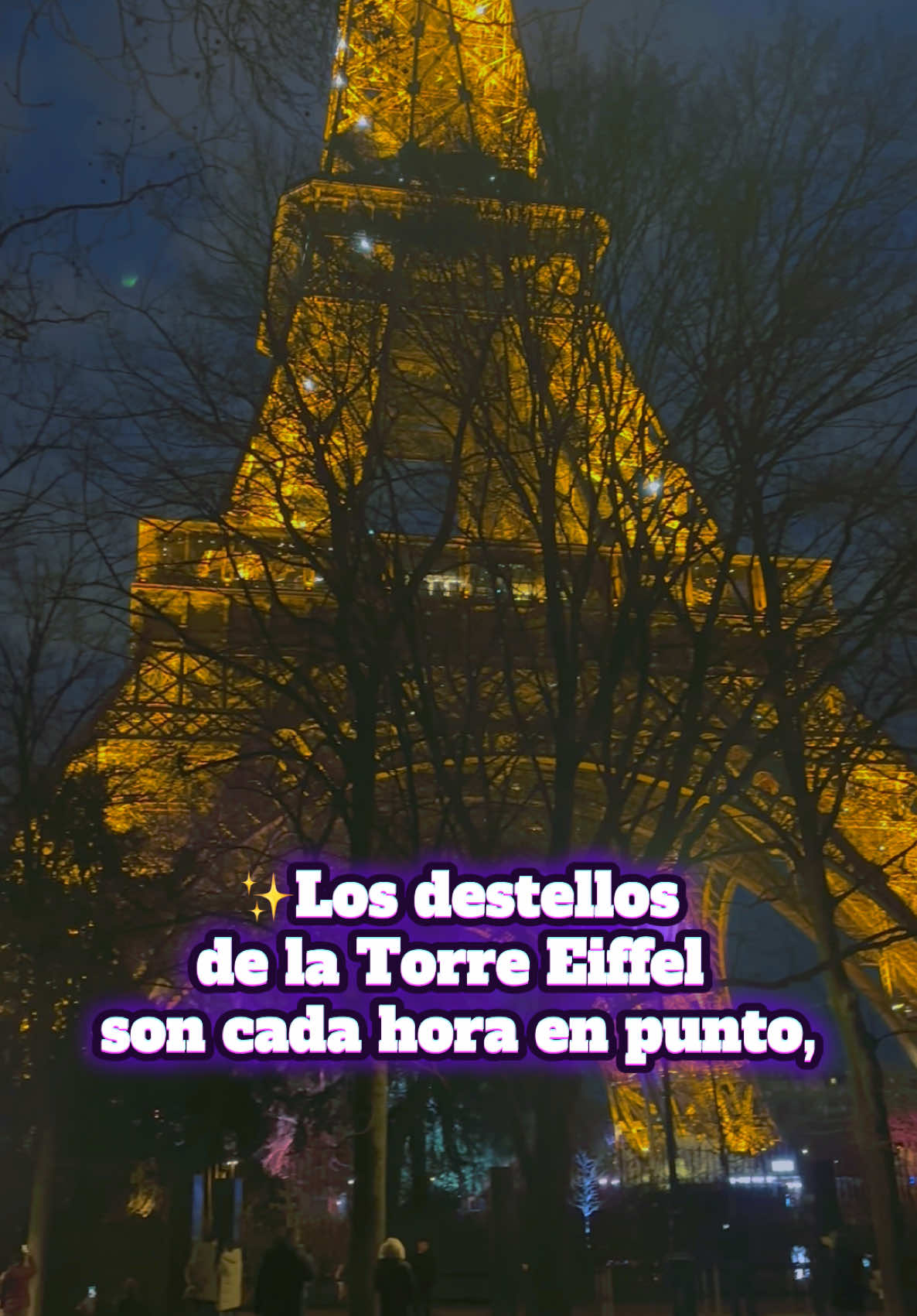 @ViajesDenisse