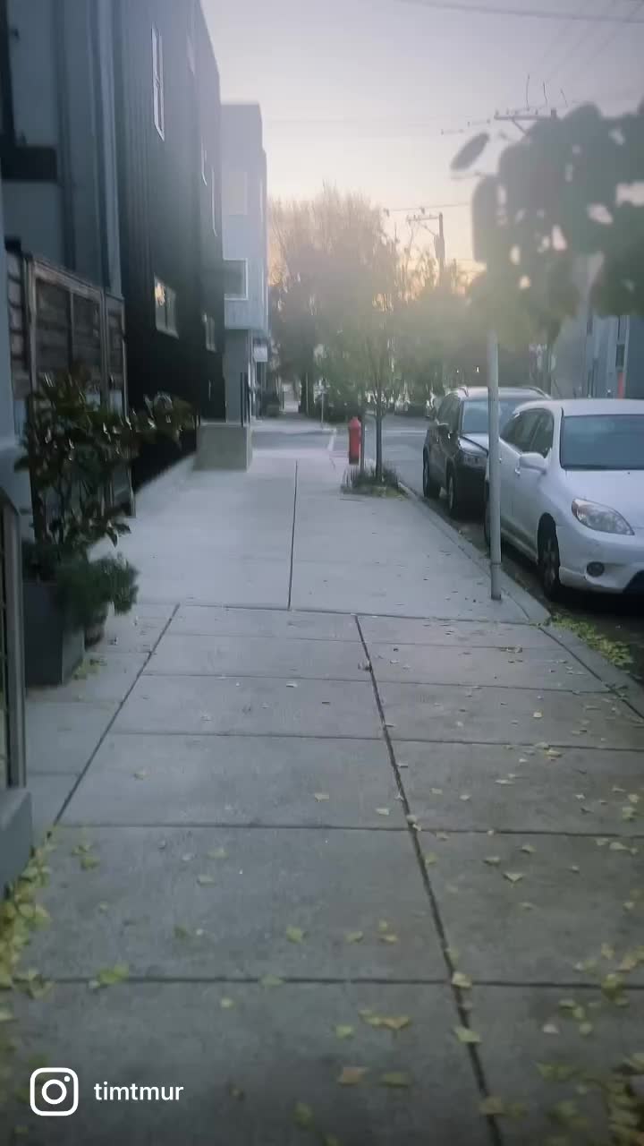 @TimTm&uacute;r