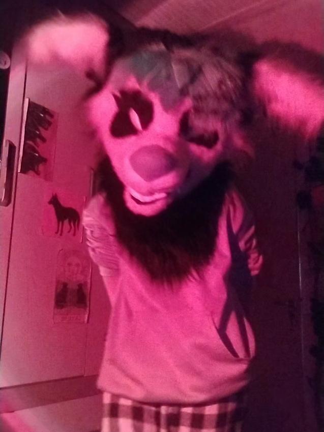 @𐂯✮⋆𝙷𝚞𝚙𝚘𝚕˙𓃡₊˚⊹🐾