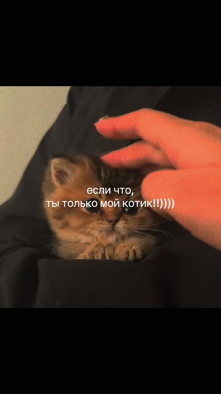 @♡‧₊˚softtiquiet˚₊‧♡