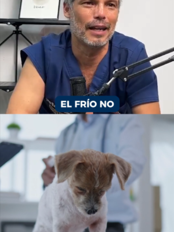 @Pancho Cavero