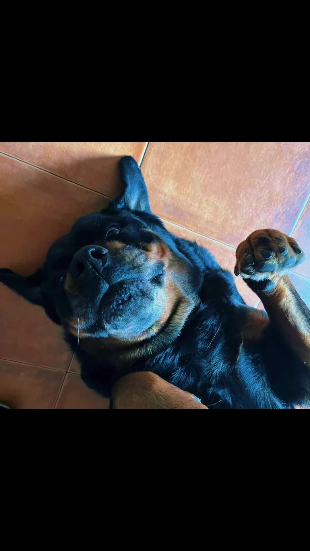 @❤️KyRa❤️RoTTie