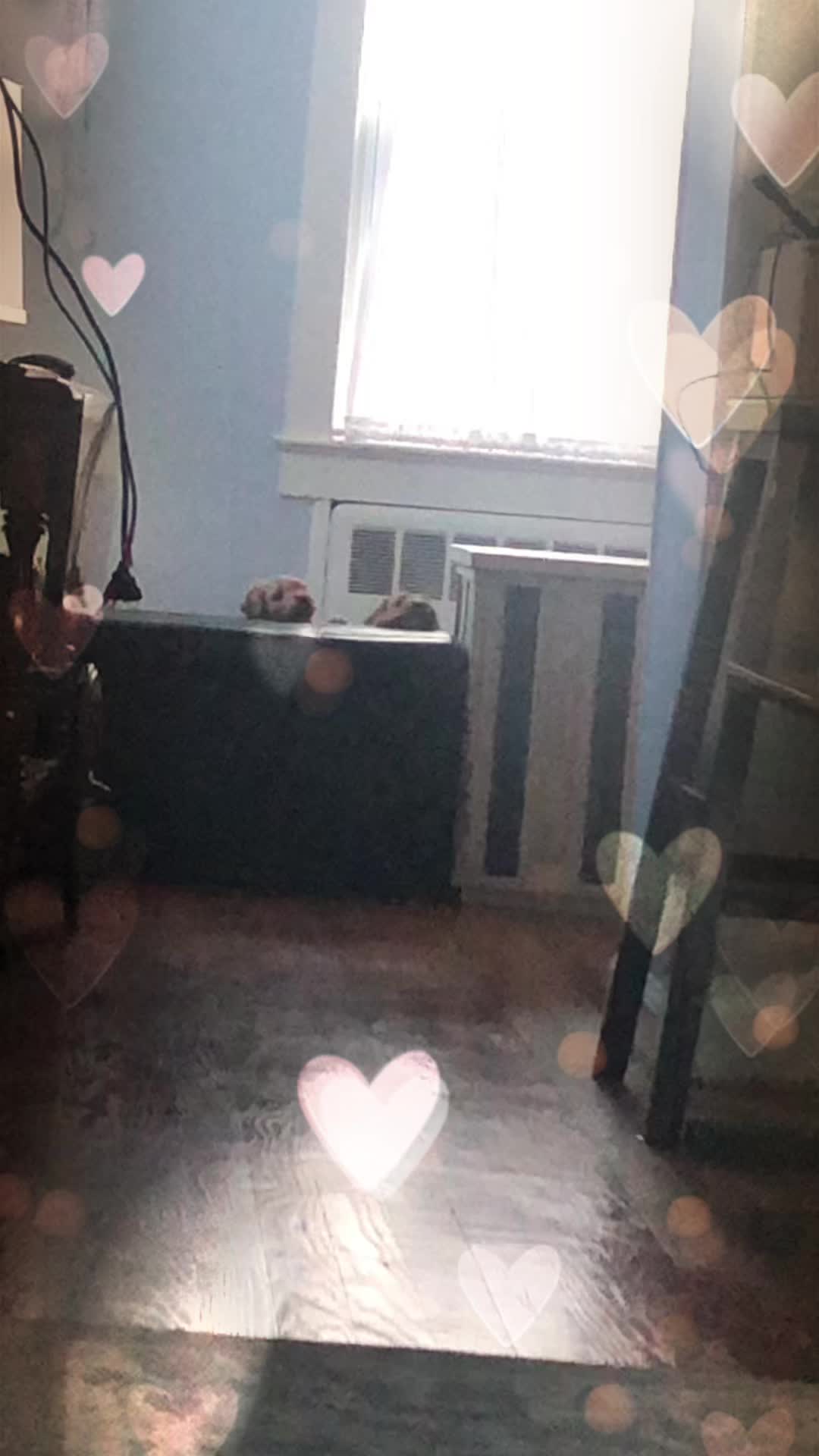 @CameraSweets