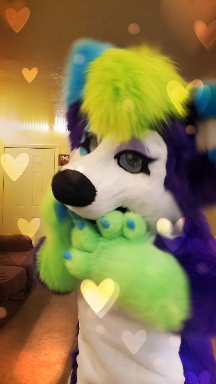 @Luna Husky